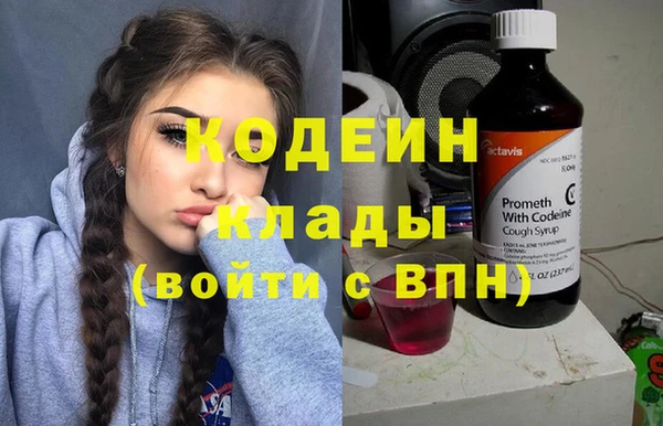 спиды Пересвет