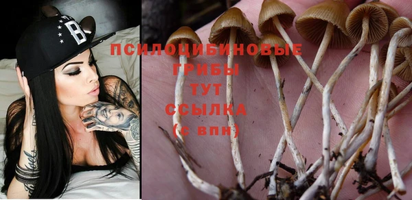 скорость Осинники