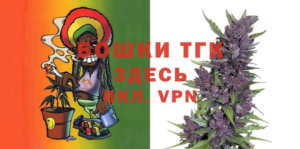 спиды Пересвет