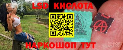индика Краснодар