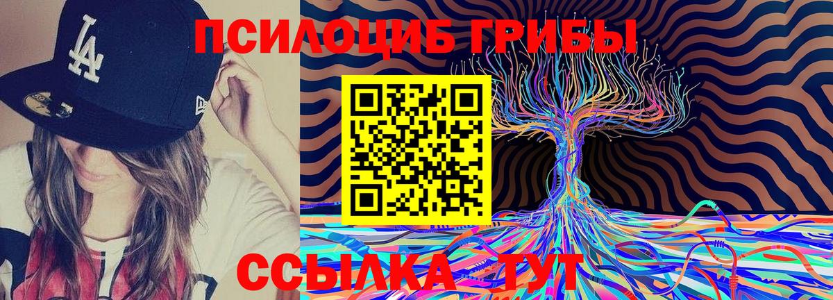 Галлюциногенные грибы Magic Shrooms Зима