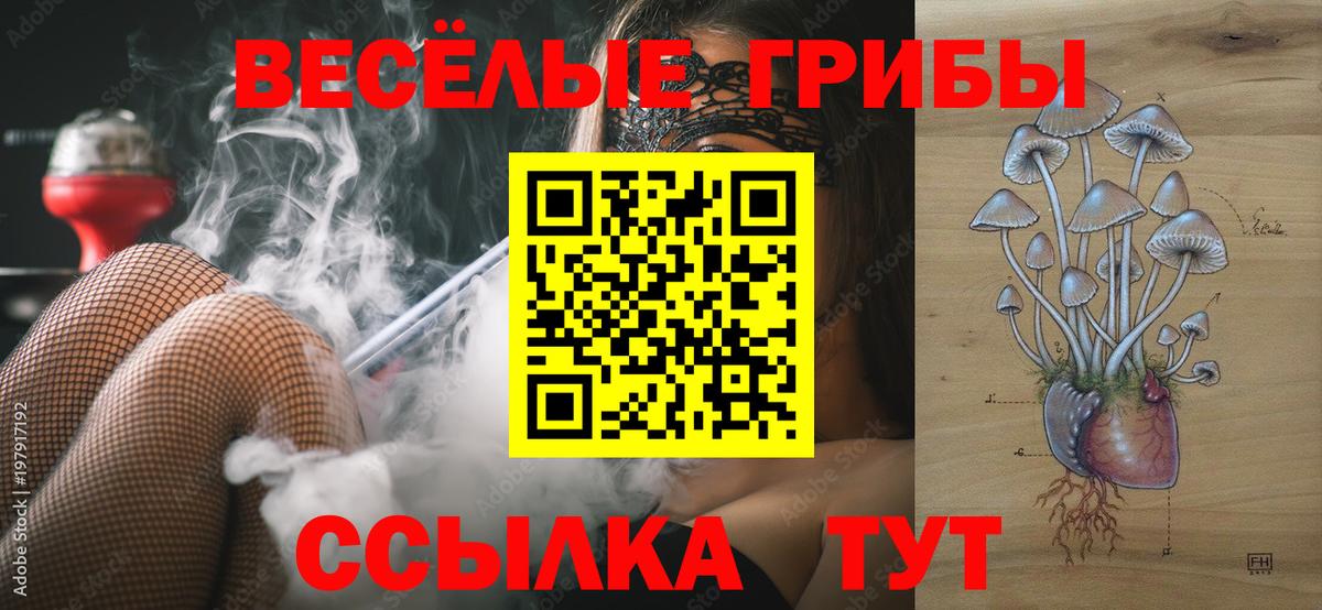 Галлюциногенные грибы Cubensis Зима